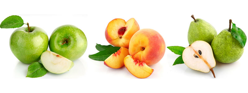 "Ödünç Aldığımız Bu Dünyayı<br>Temiz Bırakmak İçin"